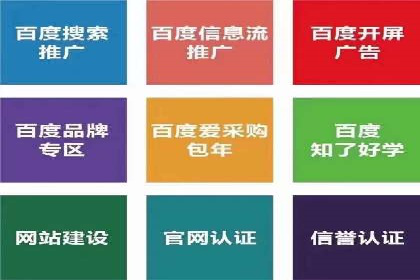 SEO关键词优化：某品牌逆袭的案例解析